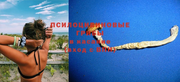 ешки Бугульма