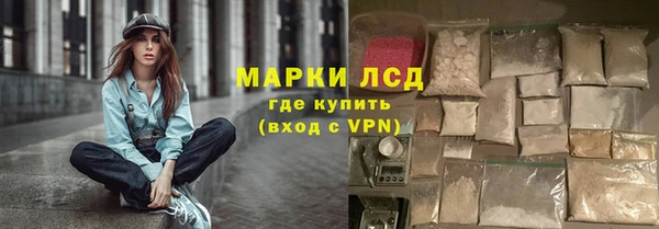 шишки Бородино