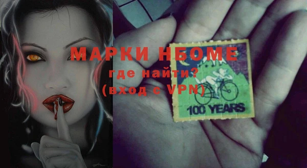 шишки Бородино