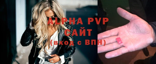 шишки Бородино