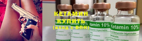 шишки Бородино