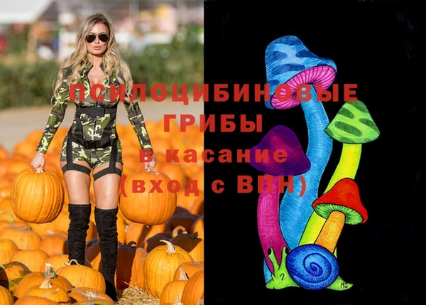 ешки Бугульма
