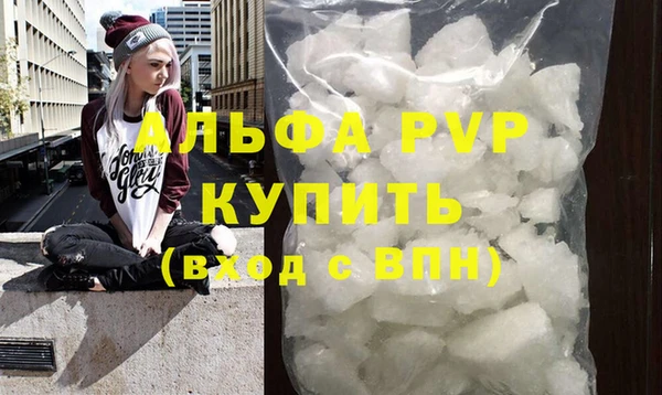 шишки Бородино