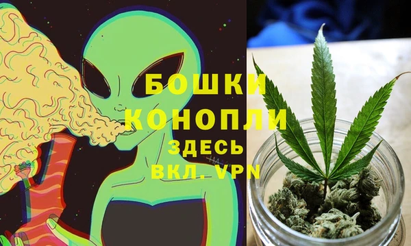 шишки Бородино