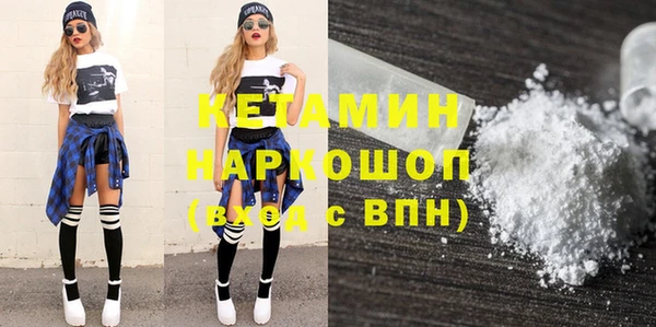 шишки Бородино