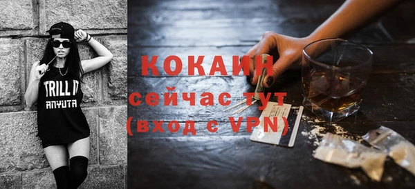 шишки Бородино