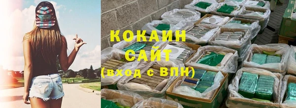 шишки Бородино