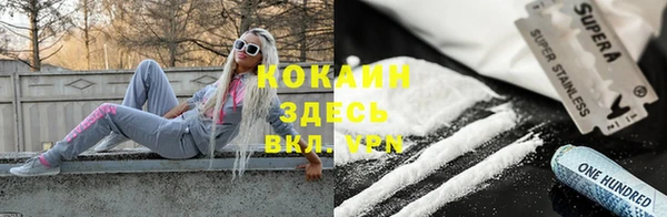 шишки Бородино