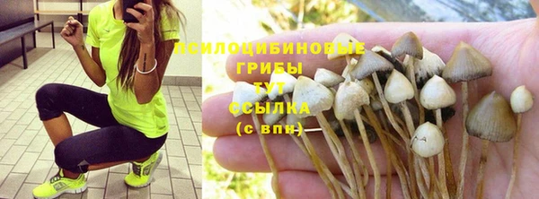 шишки Бородино