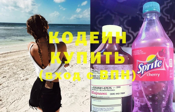 шишки Бородино