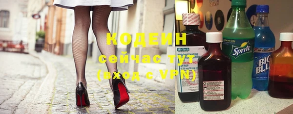 шишки Бородино